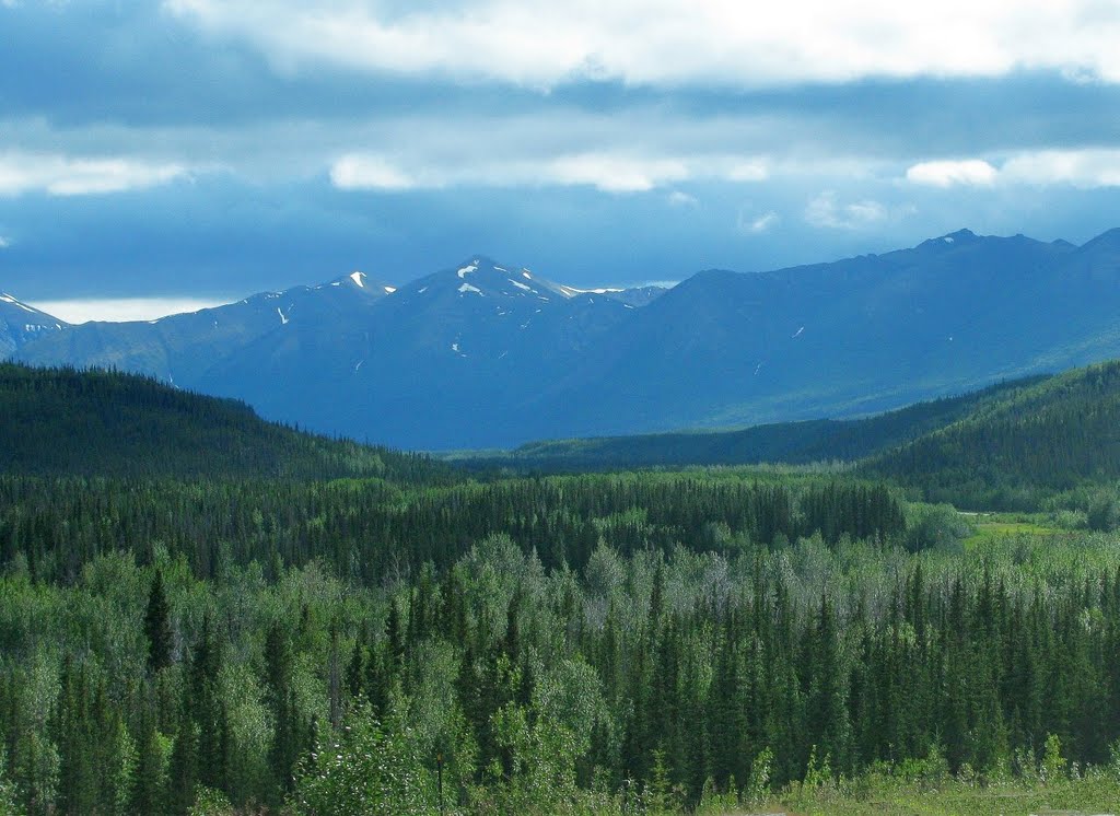 2010-07-05 - Richardson Hwy. Looking SSE in the Tonsina River Valley. by deanstucker