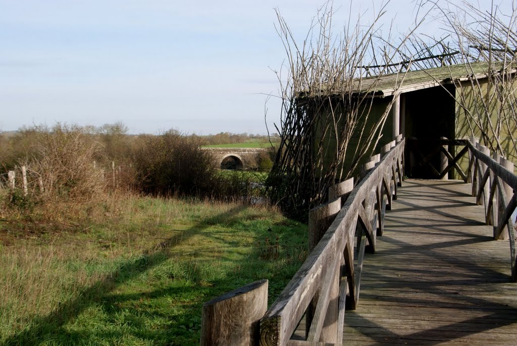 Vue du marais de grée observatoire ,pont sur le ruisseau by dom44