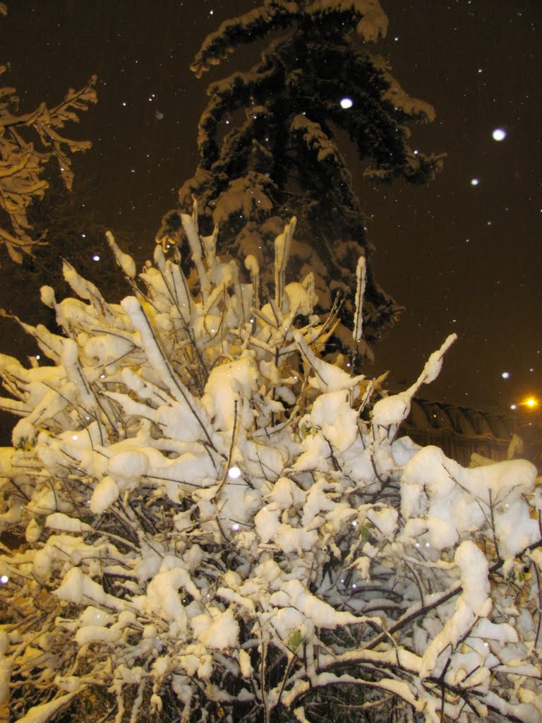 Brasov Zăpadă-Iarnă Deplină-4 Dec 2010 by Popescu Vicentiu