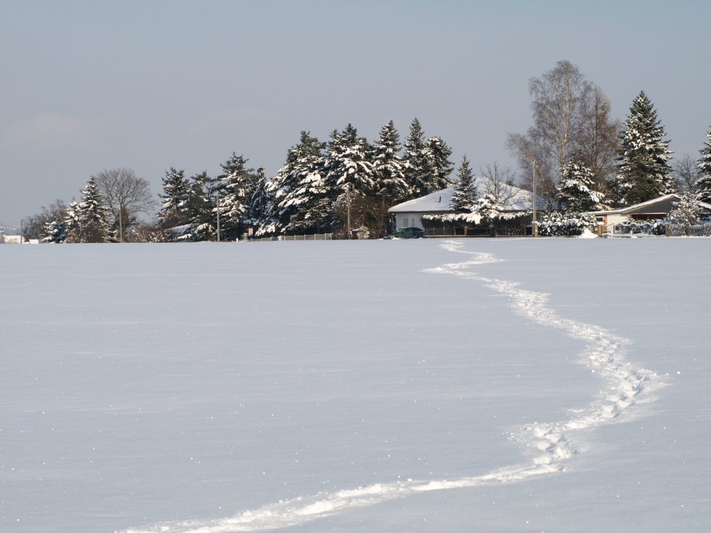 Großpösna, Richtung Grenzweg by Hans aus Großpösna