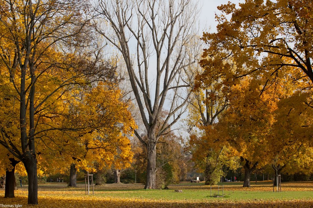 Herbst Impressionen am Max-Eyth-See by Thomas Igler