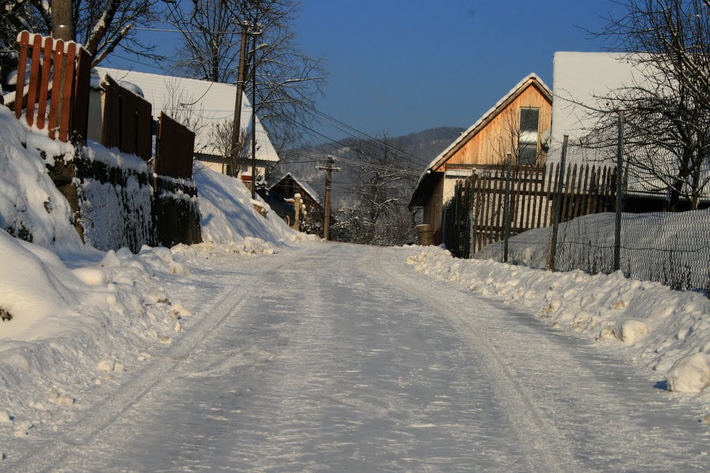 Cestou na Otoč by Miro Toman