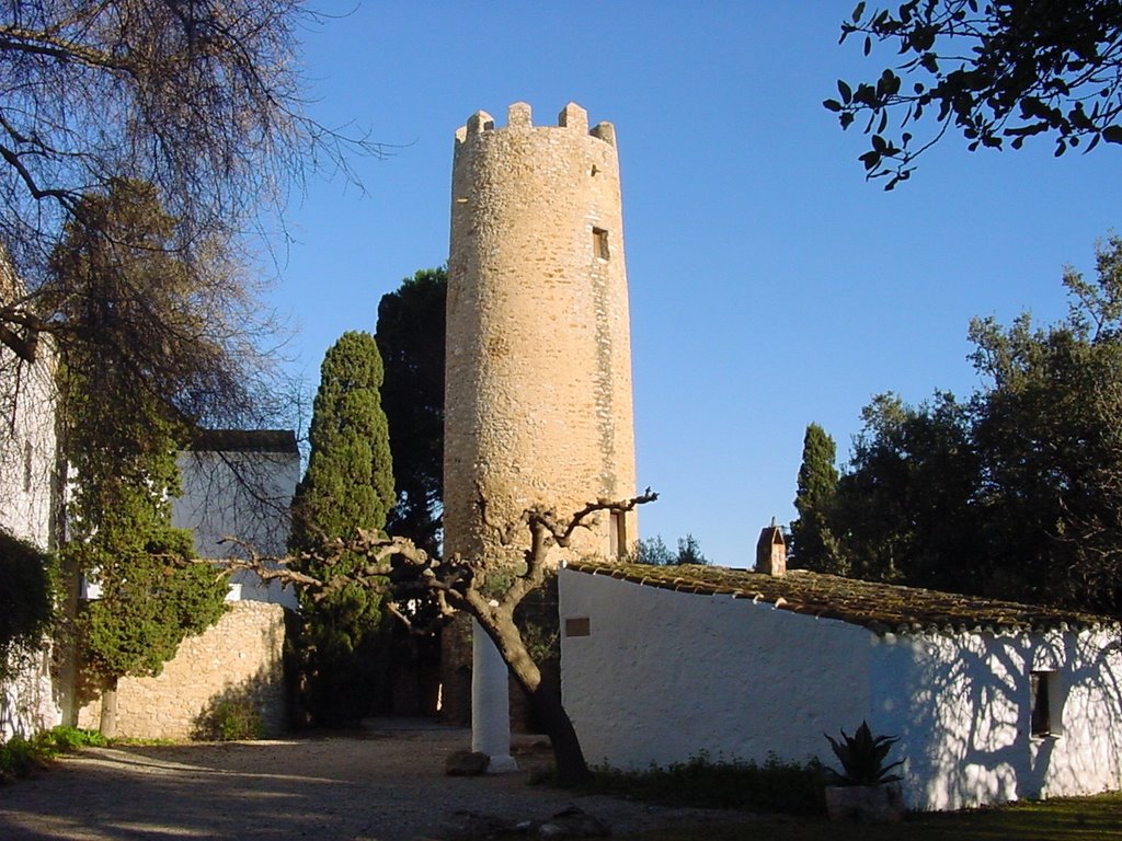 Torre de la Burgasenia 1 by llorens1964