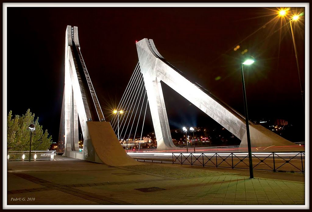 Puente de la Hispanidad de noche by Pedro Garcia de la F…