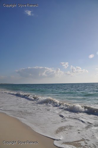 Churchill Beach by Styve Reineck