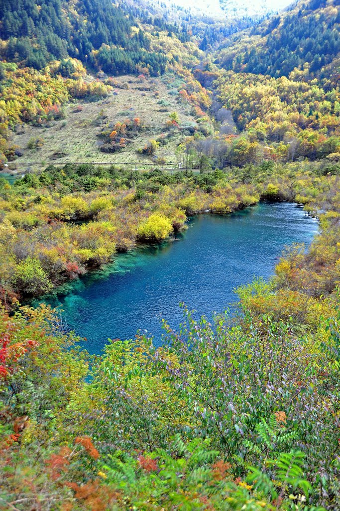 Jiuzhaigou 九寨溝樹正群海 by lauchiwung