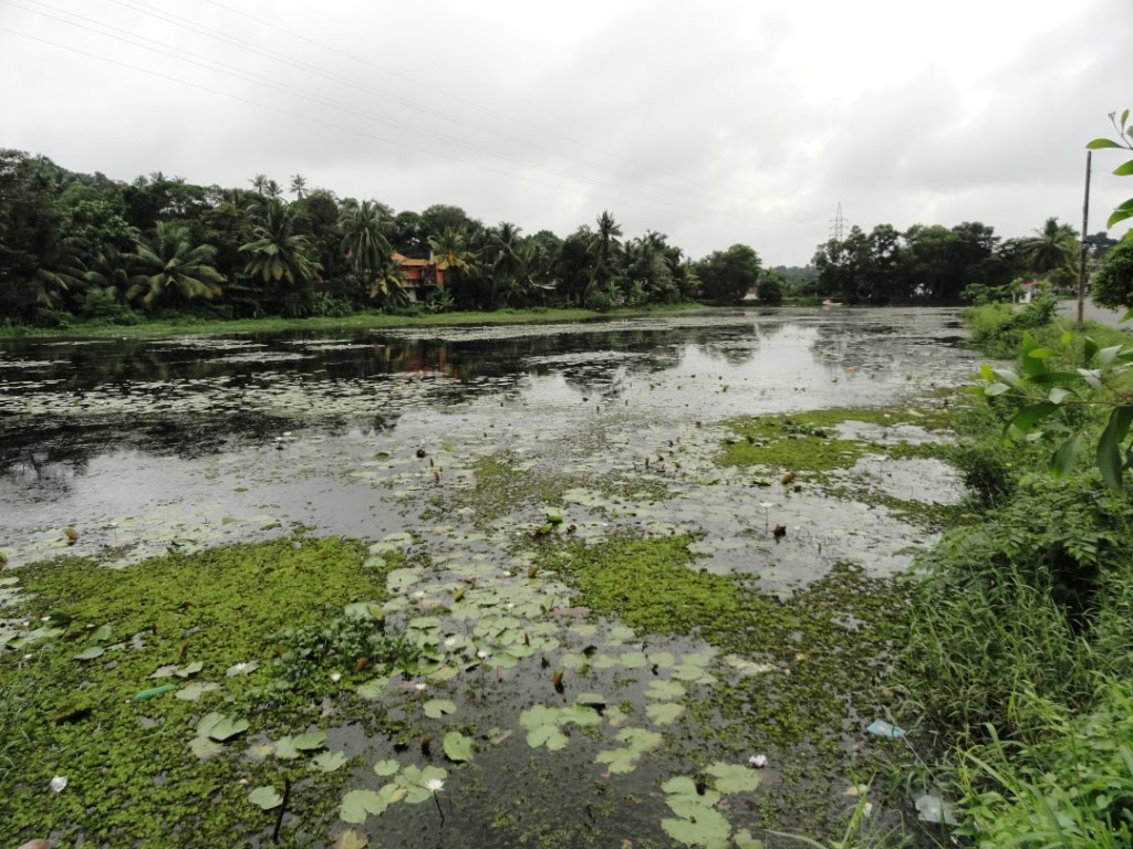 Ragama, Sri Lanka by Senanayaka Bandara