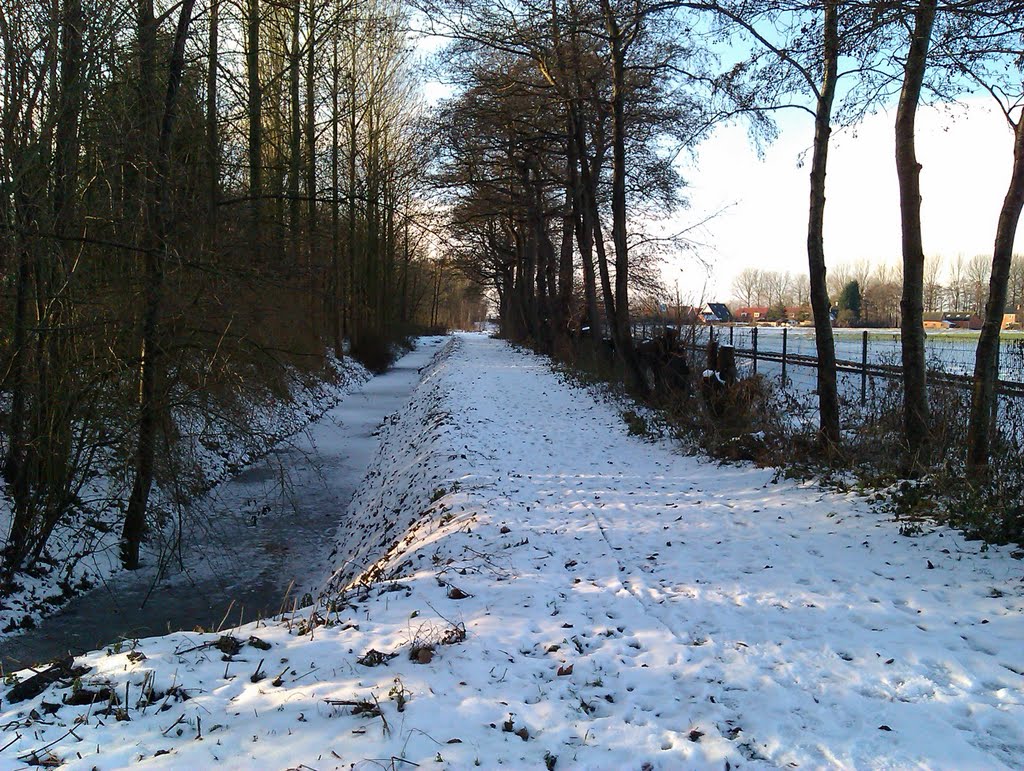 Bospad langs het spoor by roepers