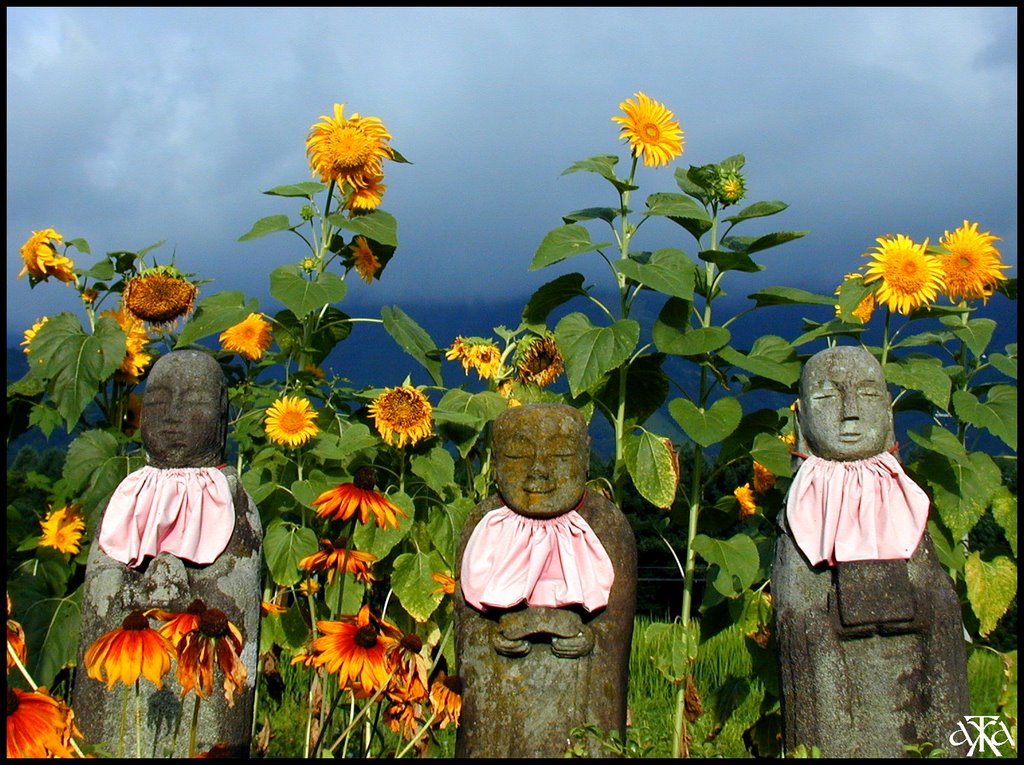 Ojizosan and sunflowers by ANDRE GARDELLA