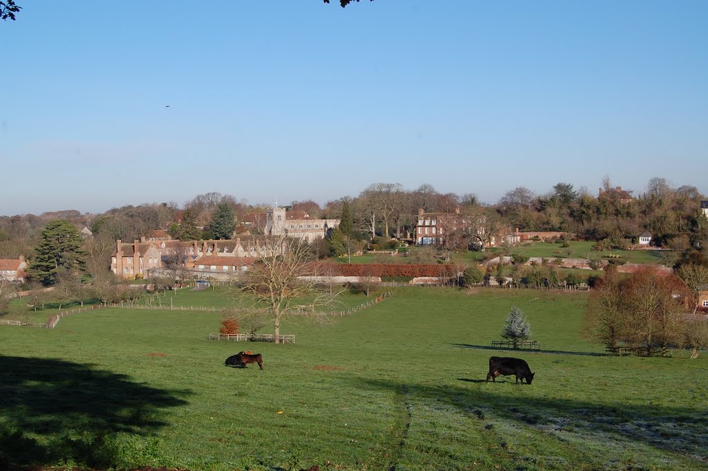 Ewelme (Oxfordshire) by Pedro Veiga