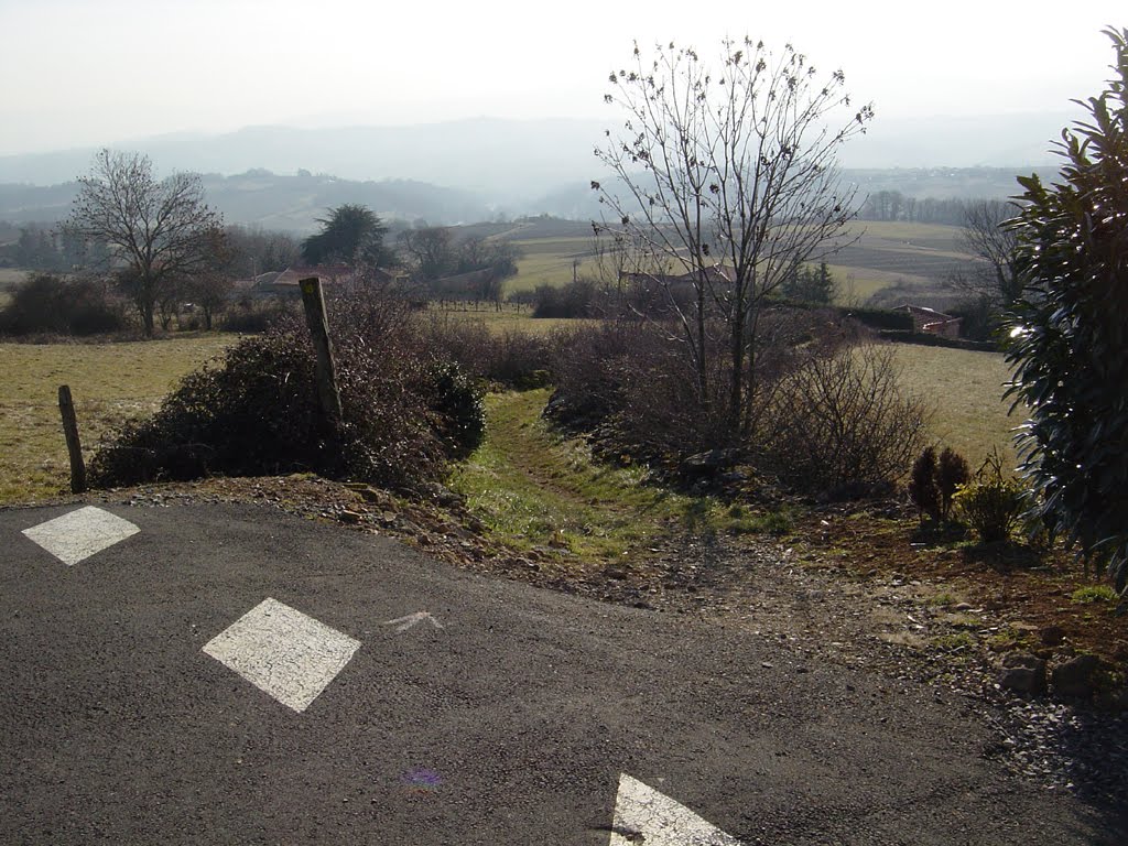 Sentier des pierres dorées by anoeda