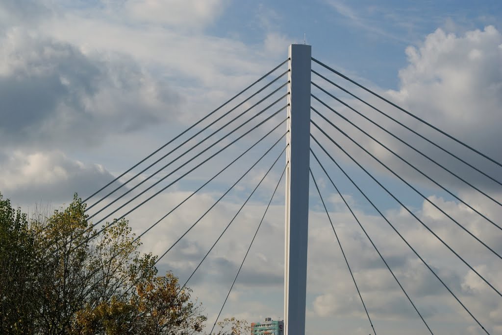 Pont Eric Tabarly Nantes by dom44