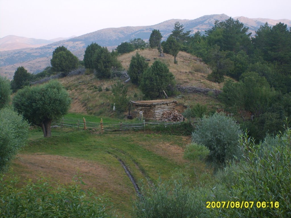 BOYUN ÇAYIR (My) by Mustafa yaralı