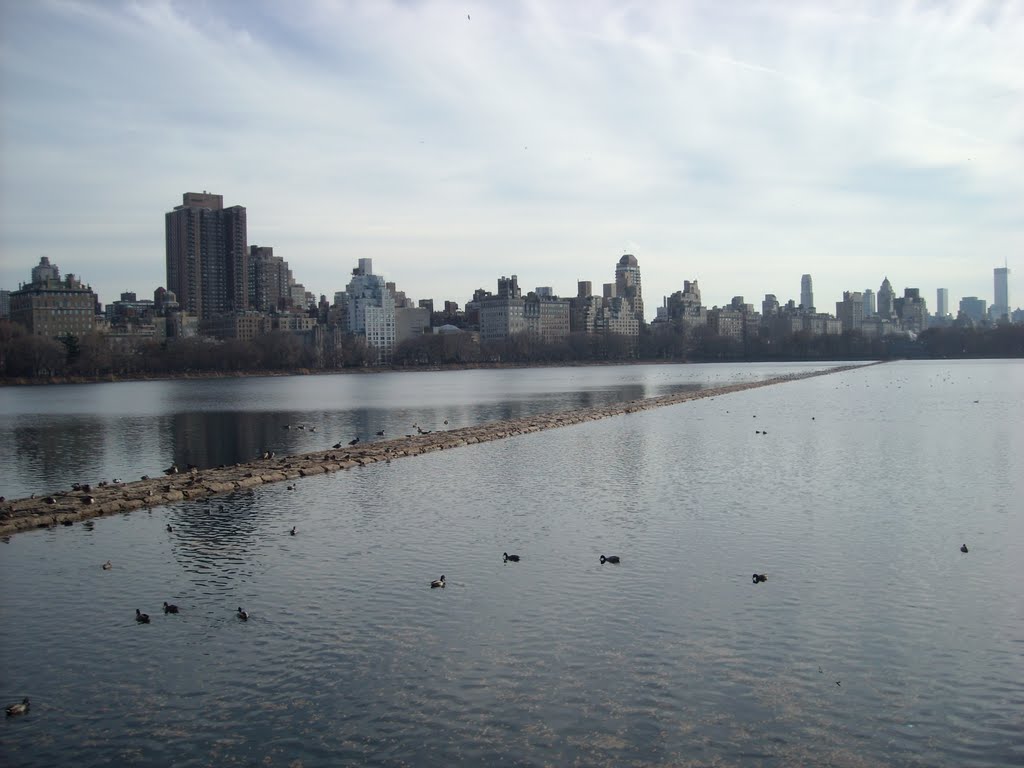 2007 Central Park by lucarigon