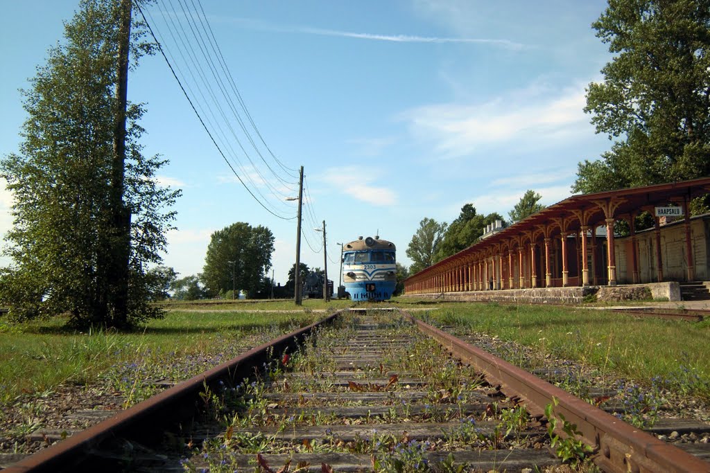 S l o w train coming by Petteri Kantokari