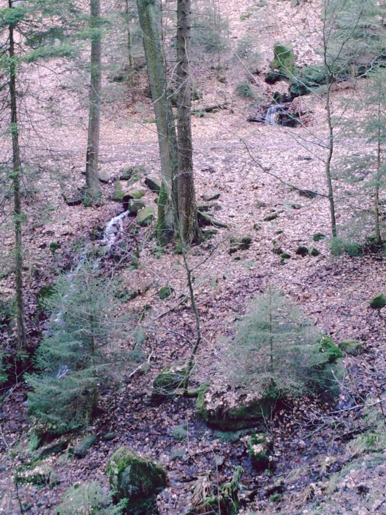 Der Pferdsbrunnen, eine der Schwarzbach Quellen by Josef Hermann