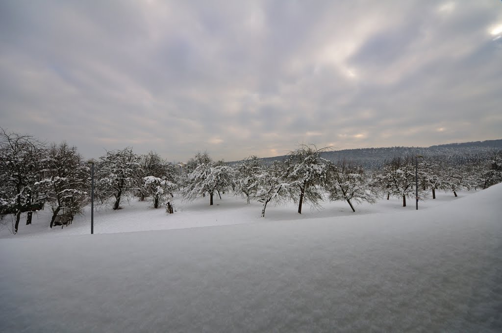 Winter in Ohmenhausen by maiermo