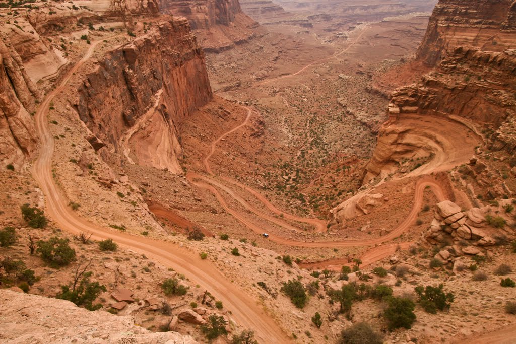 First to the bottom wins! (Canyonlands N.P.) by Ashley Thompson