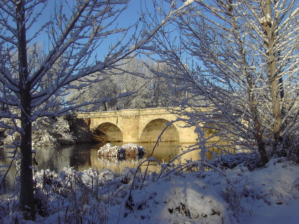 Puente Mayor, Palencia by ©-Miguel A. Rodrígue…