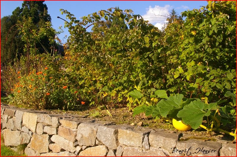 68470 Husseren-Wesserling, France by Benoît Hanser