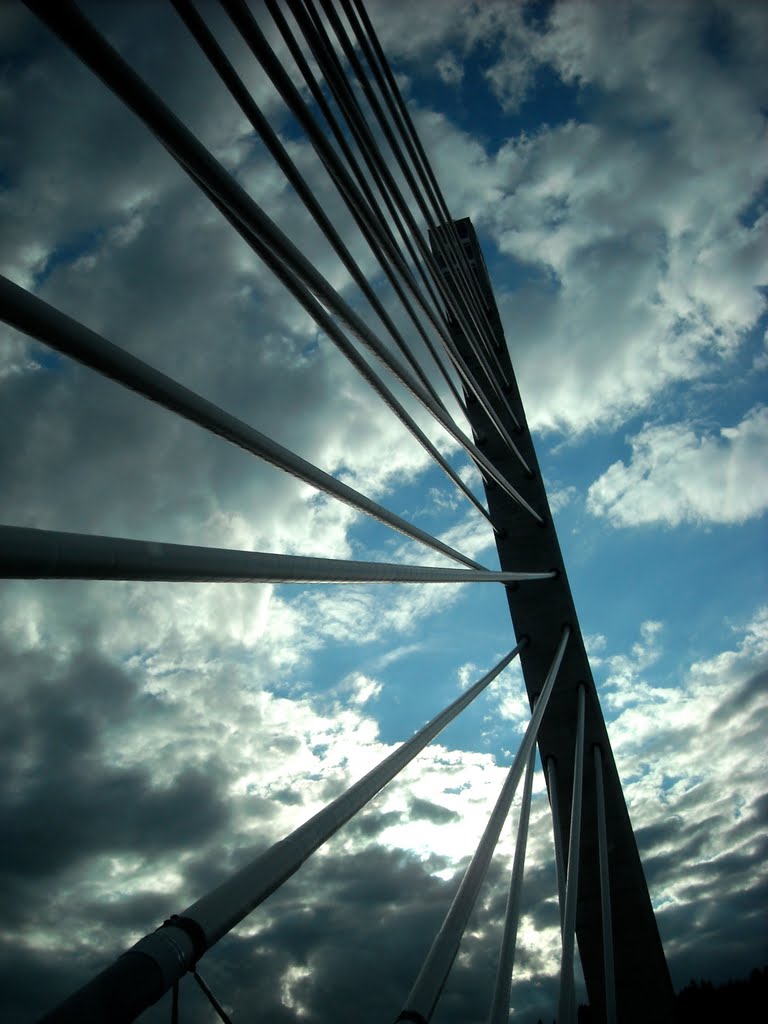 Penobscot Narrows Bridge by CarolynB_105