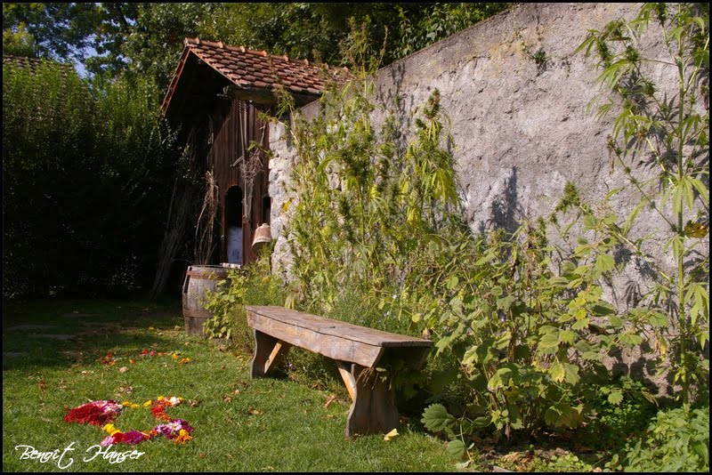 68470 Husseren-Wesserling, France by Benoît Hanser