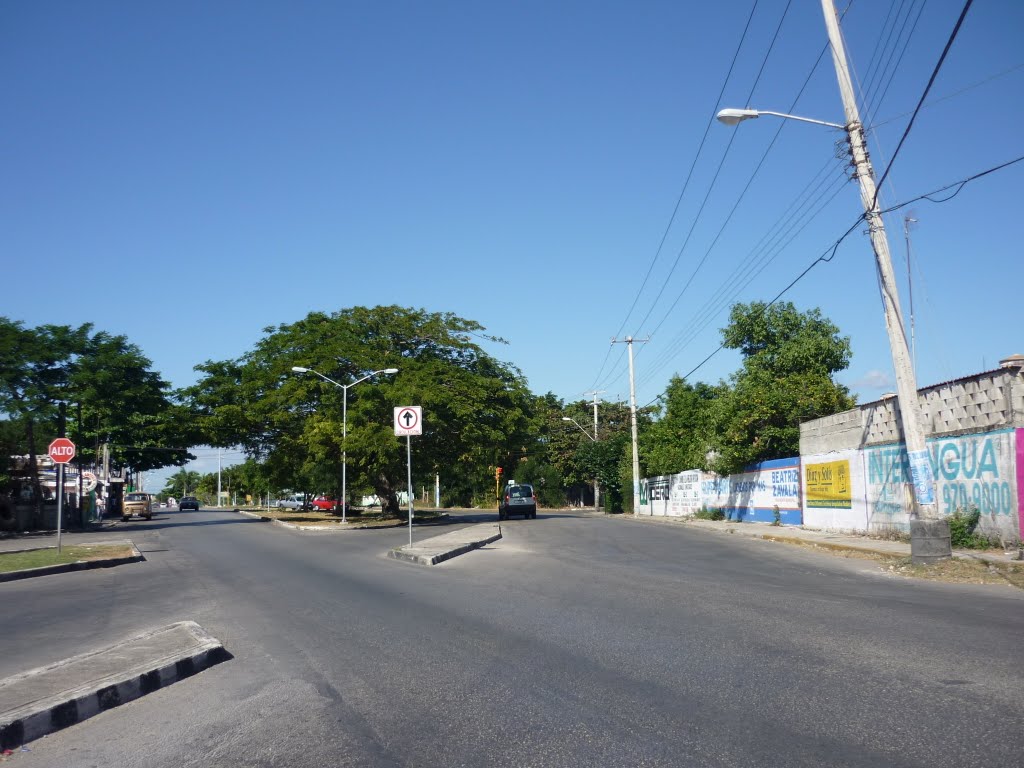 Avenida Madero x Mérida 2000 by José Repetto (Pepe)