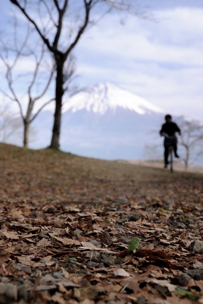 『 師走をいそぐ 』　/　Run toward the end of autumn by Gizen Kitahama