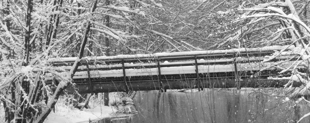 Brücke beim Schrammlhof Dez 2010 by uwe_wilhelm