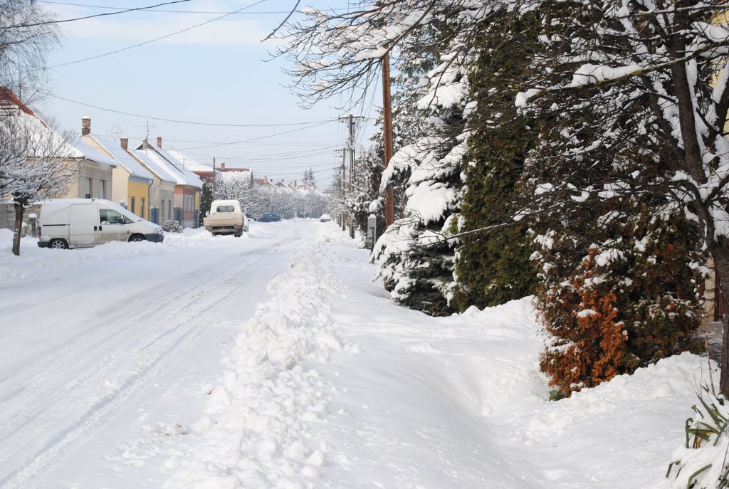 Szany, Hungary by Ancsa