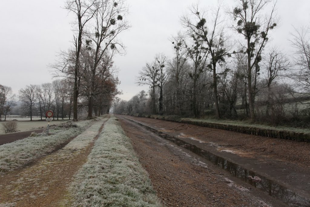 Canal de Digoin a Roanne by www.binnenvaartinbeeld.com