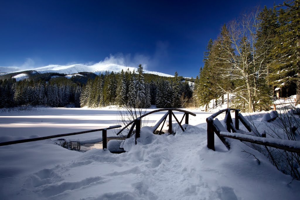 Vrbické pleso, Nízke Tatry, Slovakia by Petoo - Design d15