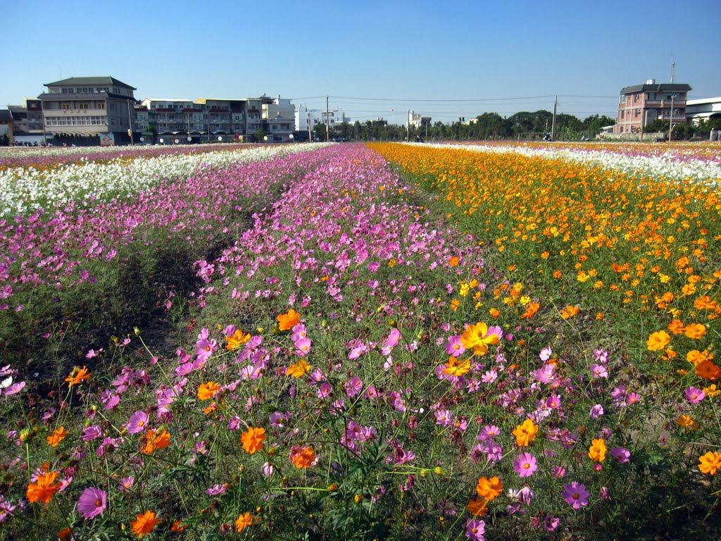 2010.12 花田喜事‧采風橋頭 by chienhaw