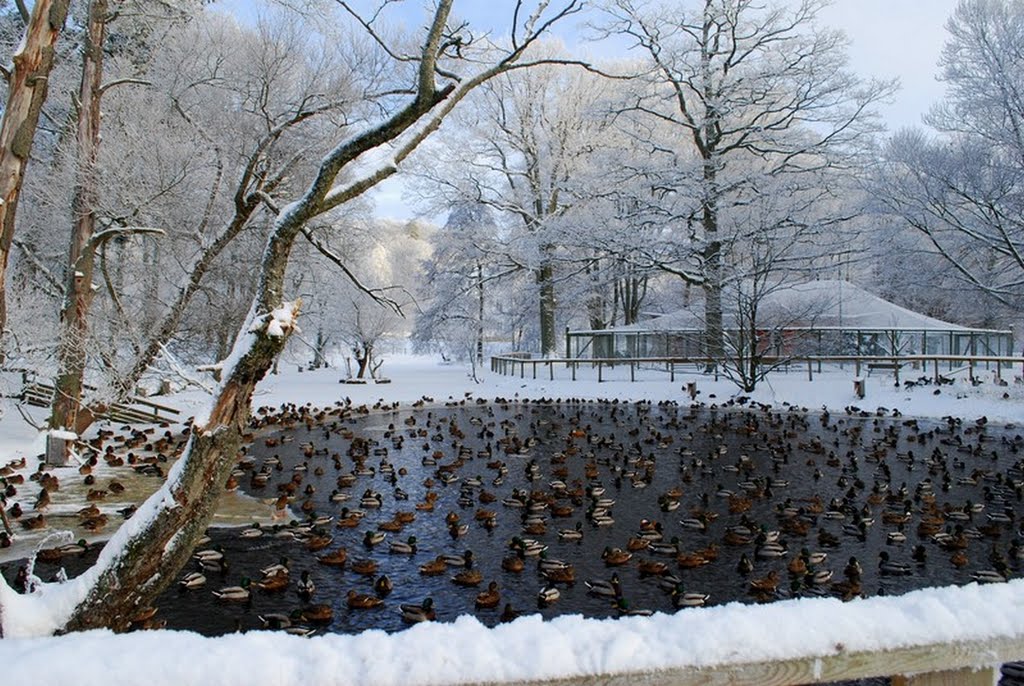 Vinter i Alingsås,Sweden,2010 by DESPINA MOUSAFIRI