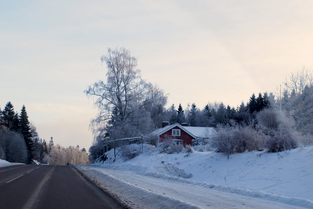 Vinter i Alingsås,Sweden,2010. by Despina Mousafiri