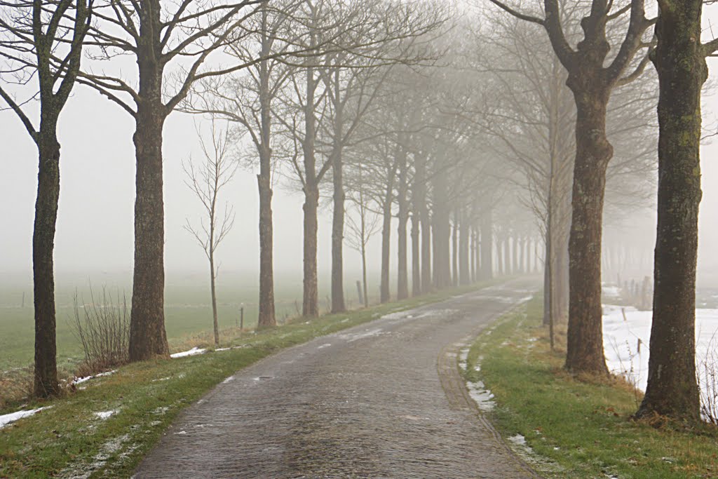 Mistig landweggetje by Jan de Boer