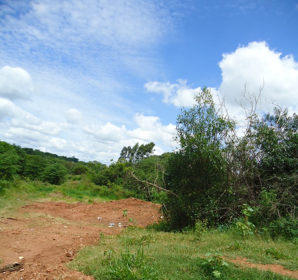 Margem do Córrego Felicidade by Renato Tolfo