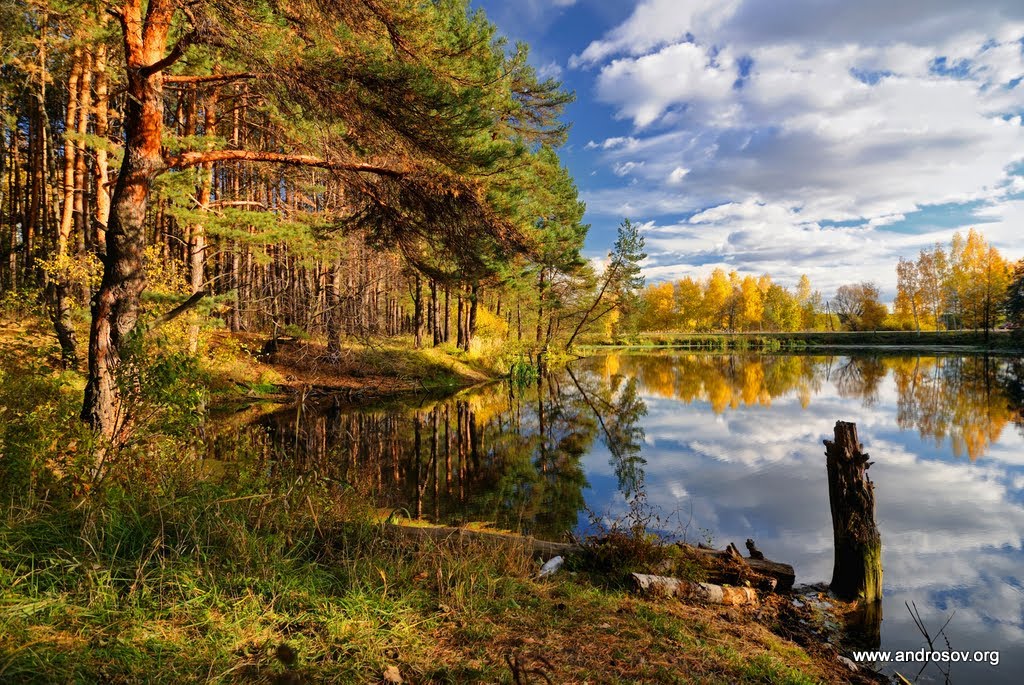 Lukhovitsky District, Moscow Oblast, Russia by Алексей Андросов