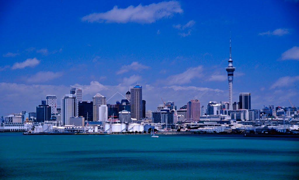 Auckland Skyline by donsimon2