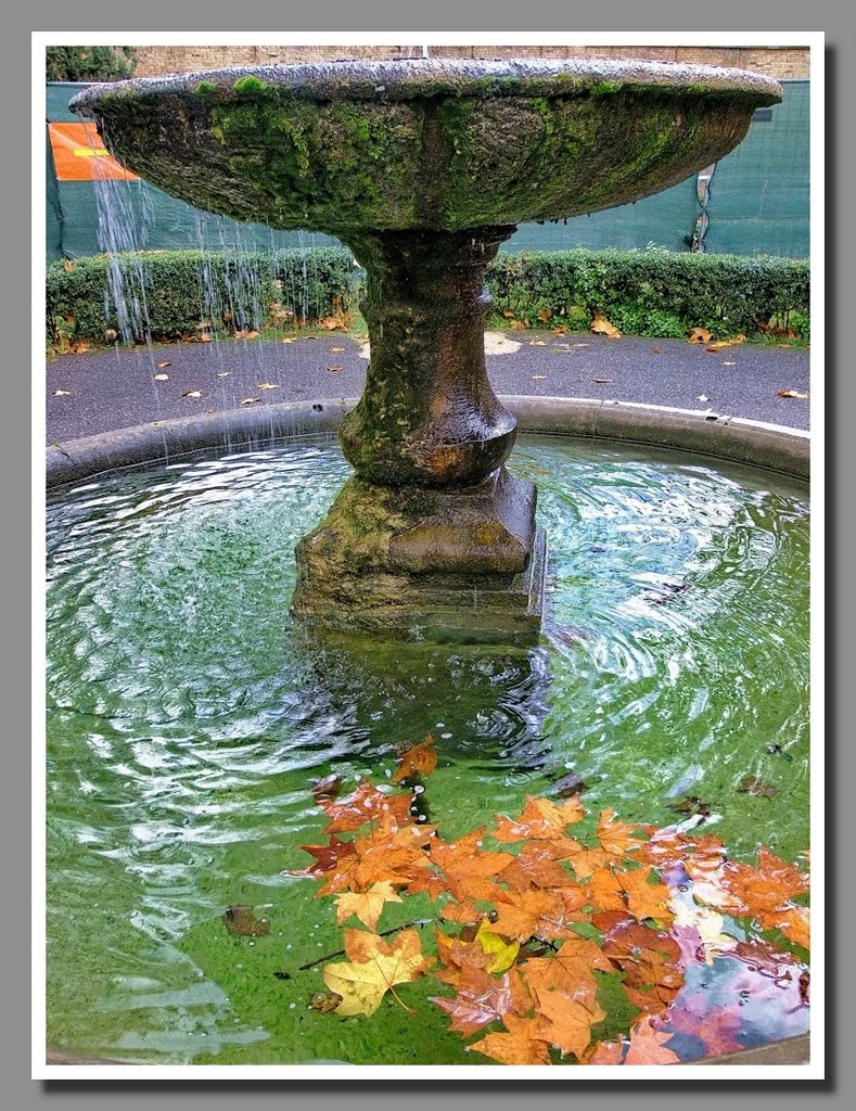 Fontana in autunno by Stefano Mascioli