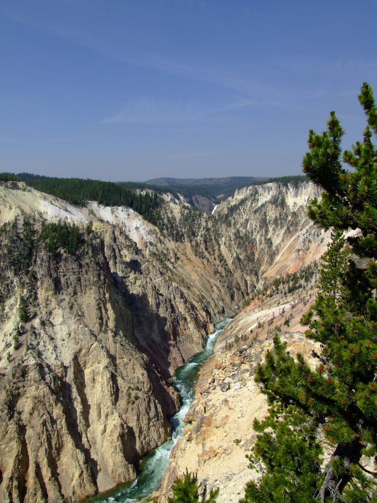 Canyon-North Rim View by LelandG