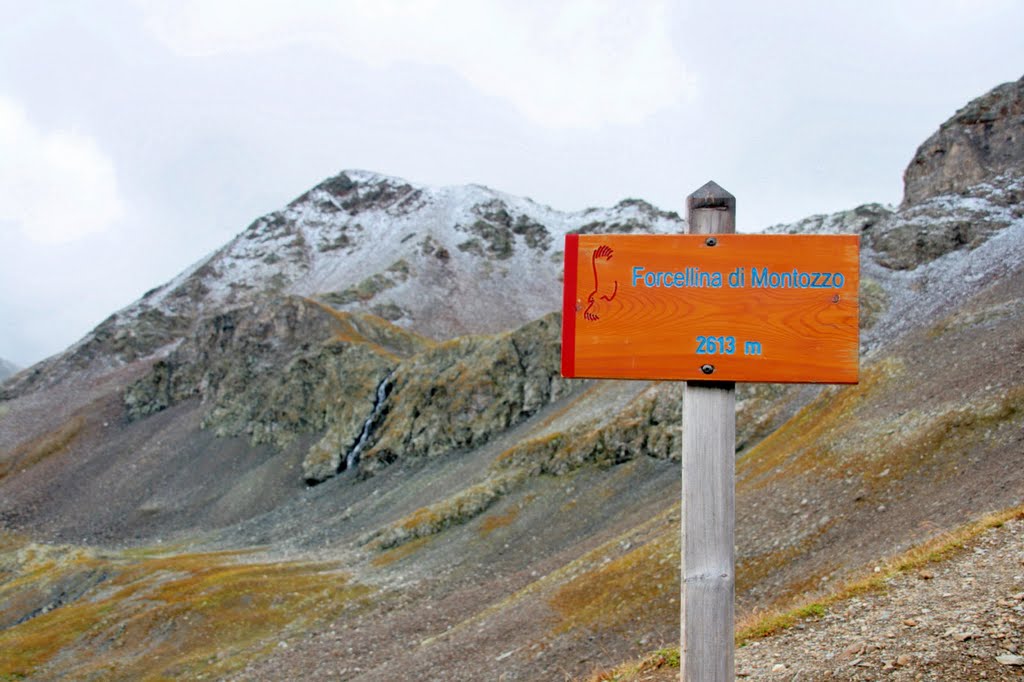 Italy, Passo Forzellina di Montozzo, 2613m, Transalp 2010, MTB by Divemax