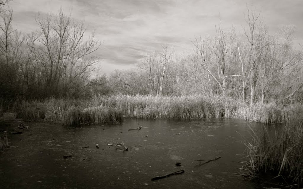 Rodbridge ponds, Long Melford, Suffolk by HeathUK