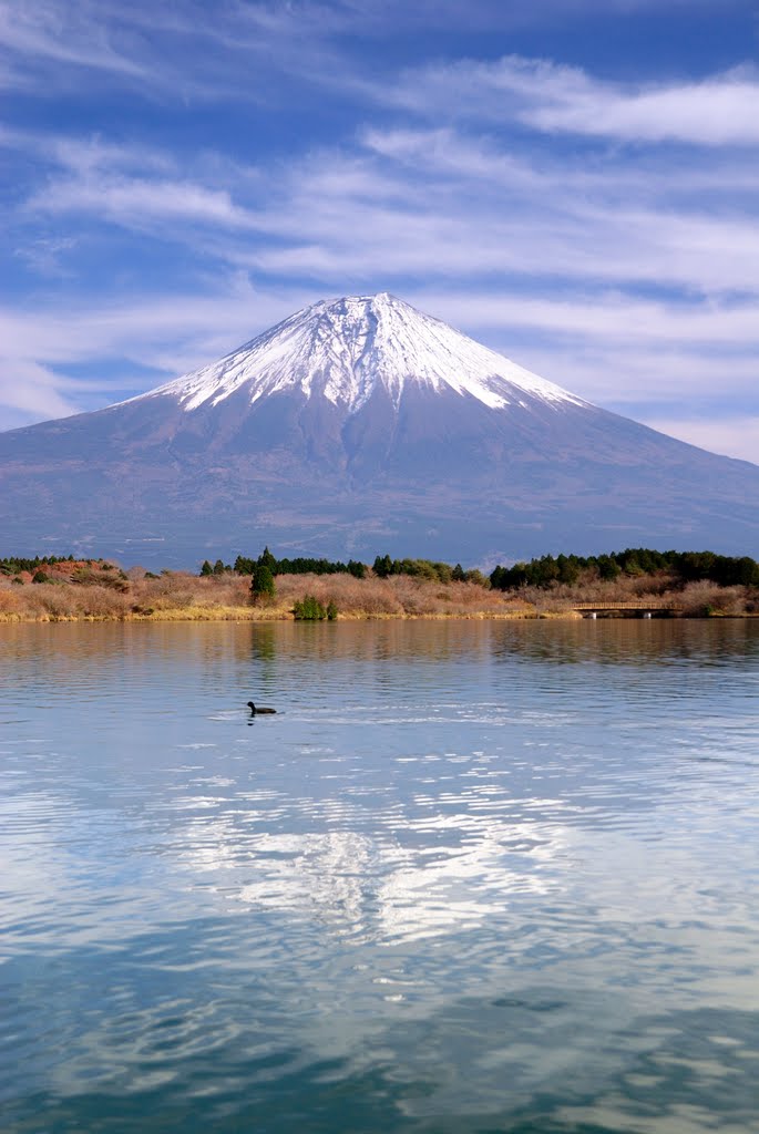 『 水鳥が行く 』　/　Waterfowl across the lake by Gizen Kitahama