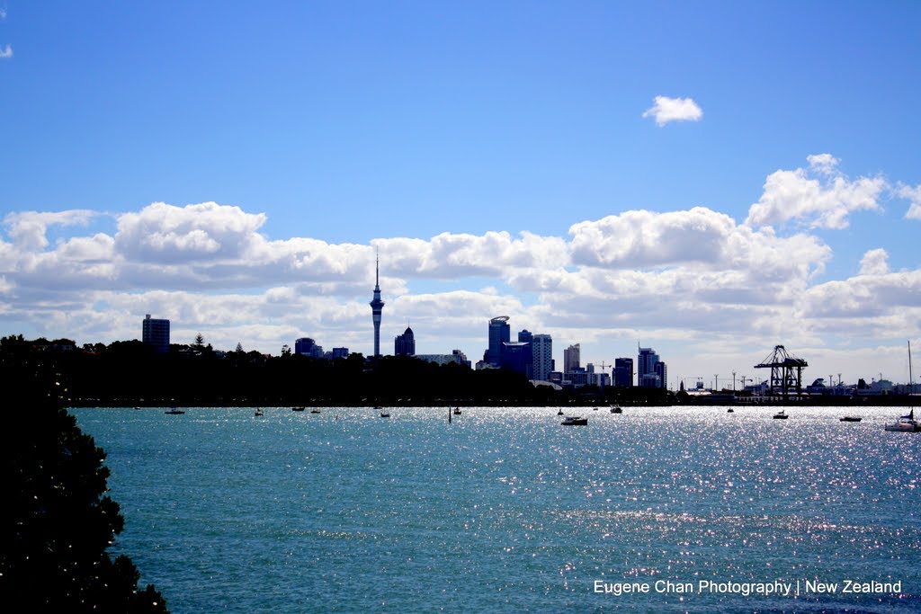 Orakei, Auckland, New Zealand by Eugene Chan