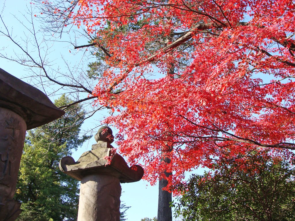 本門寺 by Ishiki