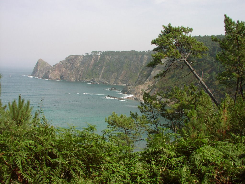 La playa de Oleiros desde el caballo by jsg-inet