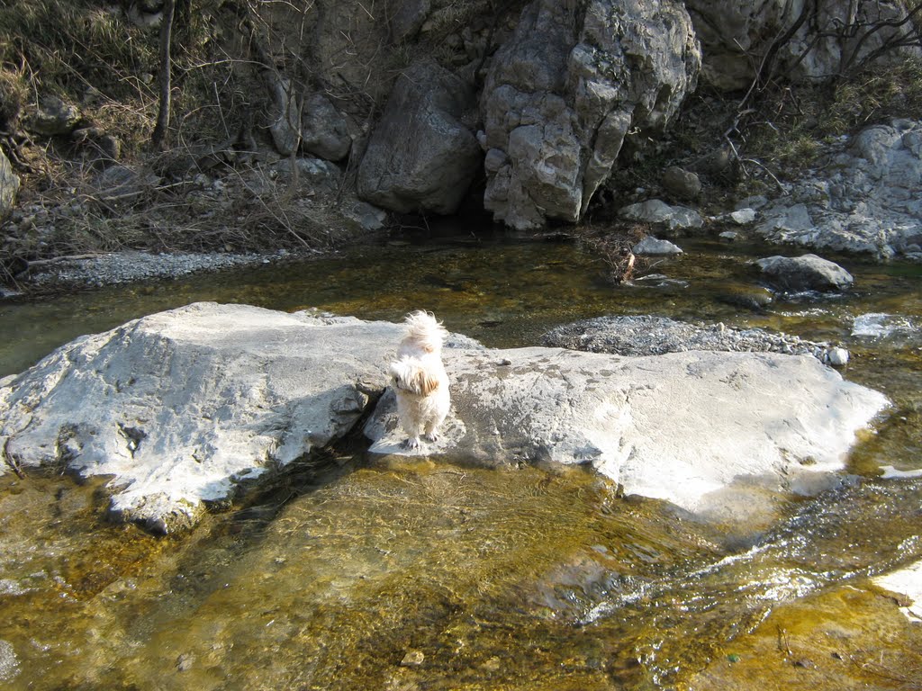 Torrente Rosandra"il guado" by flv.1940.27.02.40