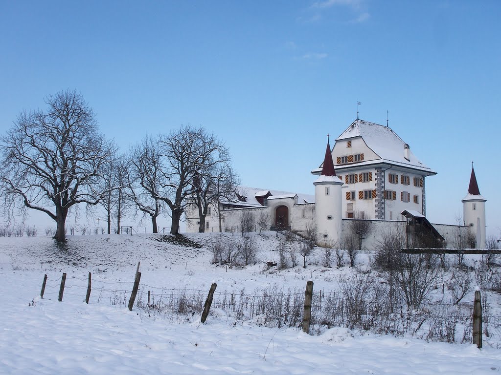 Schloss Wyher.... leicht eingezuckert by egliandré