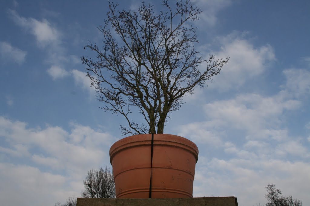 Pot in de winter, De Bilt. by Carl030nl